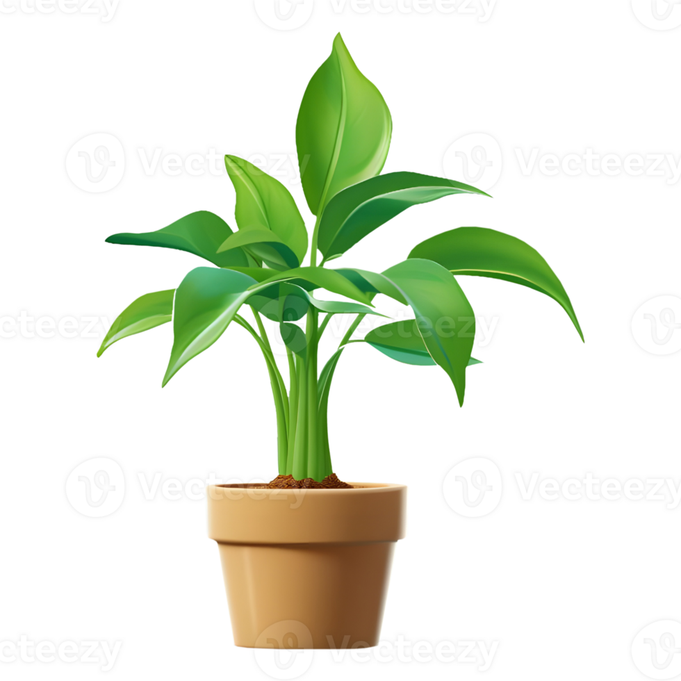 AI generated Plant in a Pot on Transparent background - Ai Generated png