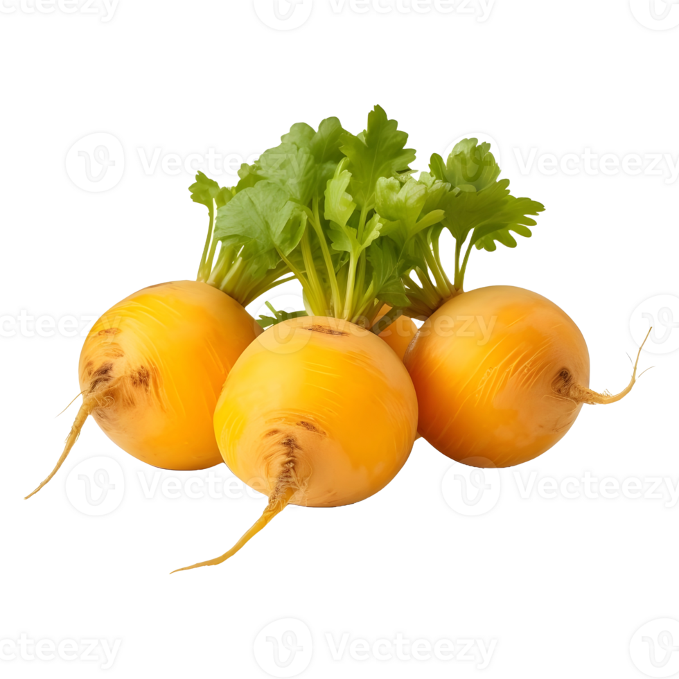 AI generated Yellow Turnips on Transparent background - Ai Generated png