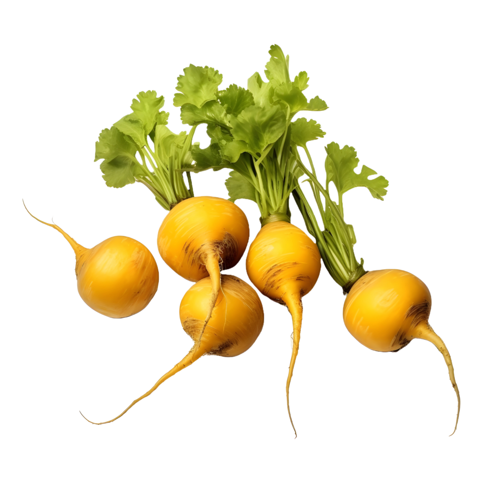 AI generated Yellow Turnips on Transparent background - Ai Generated png