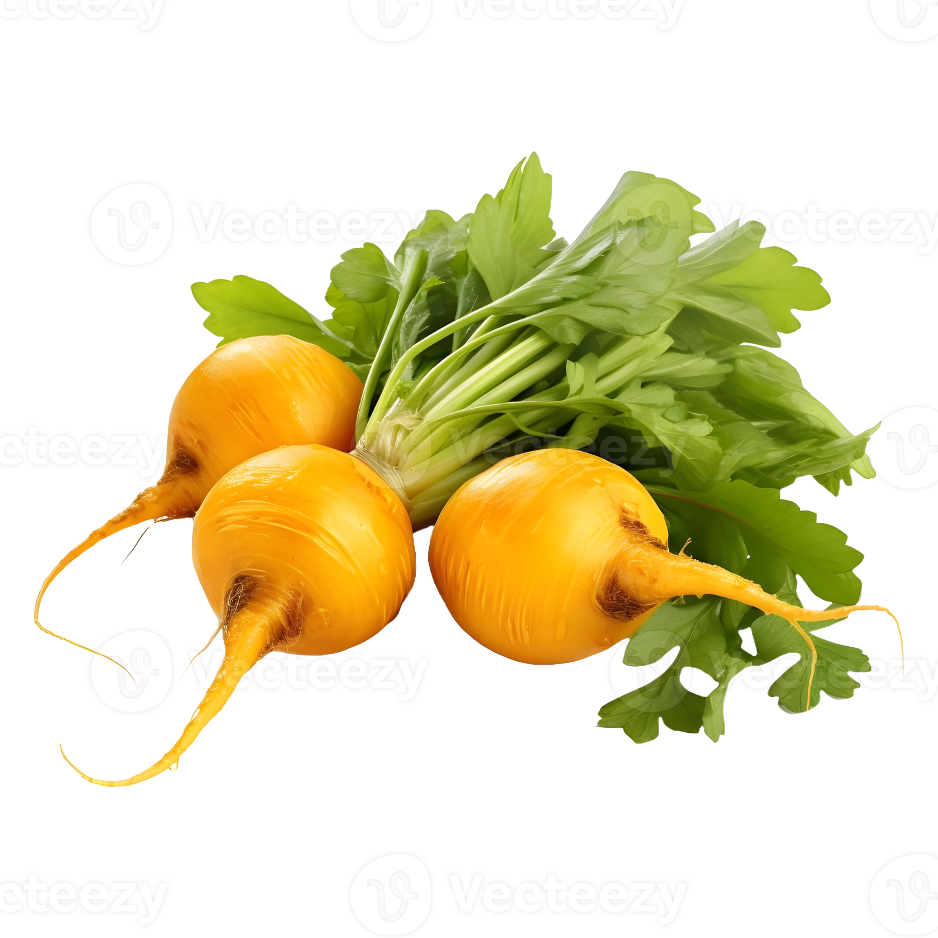 AI generated Yellow Turnips on Transparent background Ai Generated