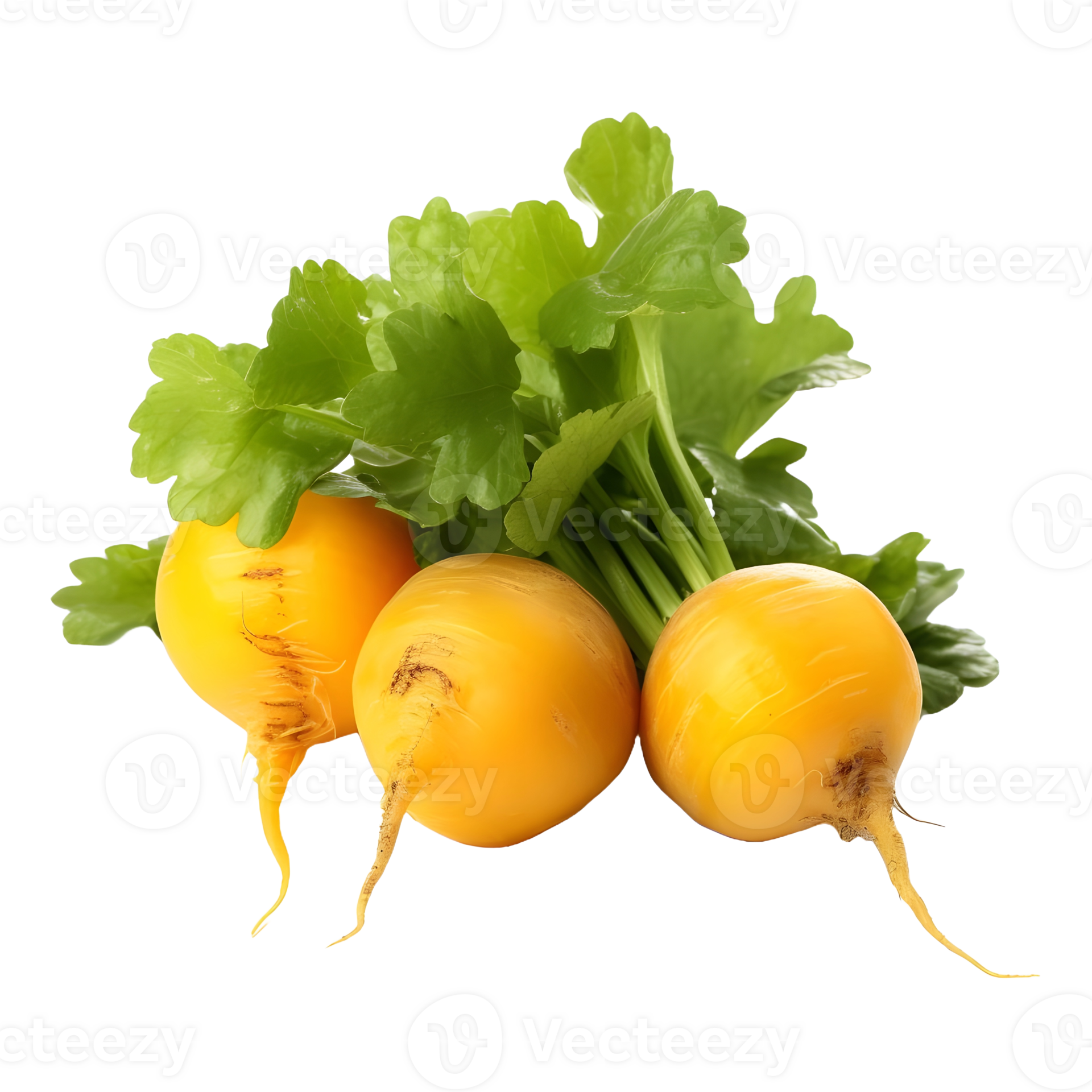 AI generated Yellow Turnips on Transparent background Ai Generated