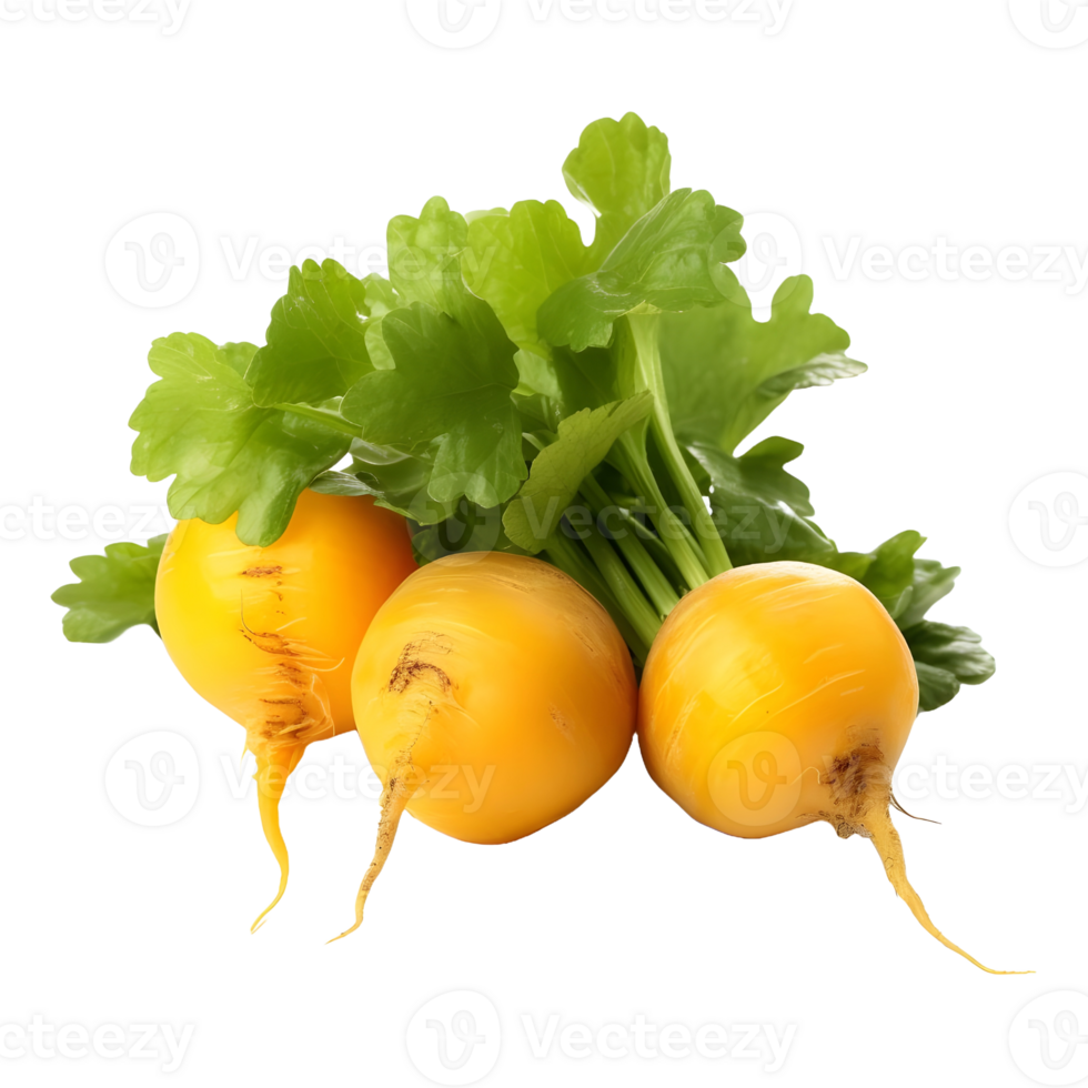 AI generated Yellow Turnips on Transparent background - Ai Generated png