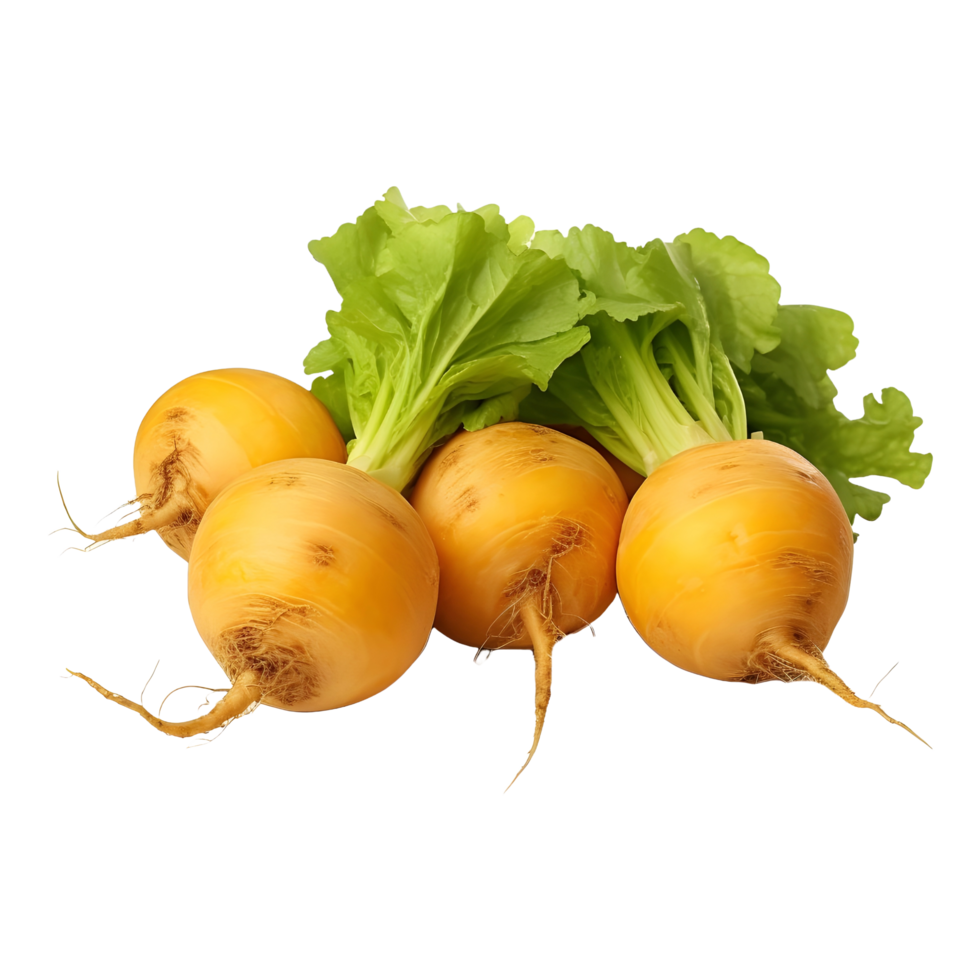 AI generated Yellow Turnips on Transparent background - Ai Generated png