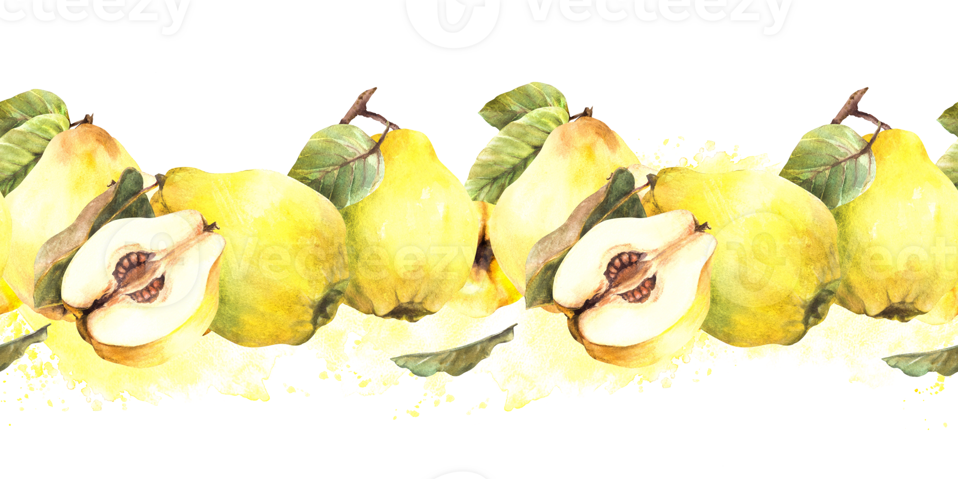 Watercolor hand painted seamless border, pattern. Juicy quince whole and cut fruits with branch, leaves and yellow splashes. Illustration for wrapping paper, wallpaper, cover background png
