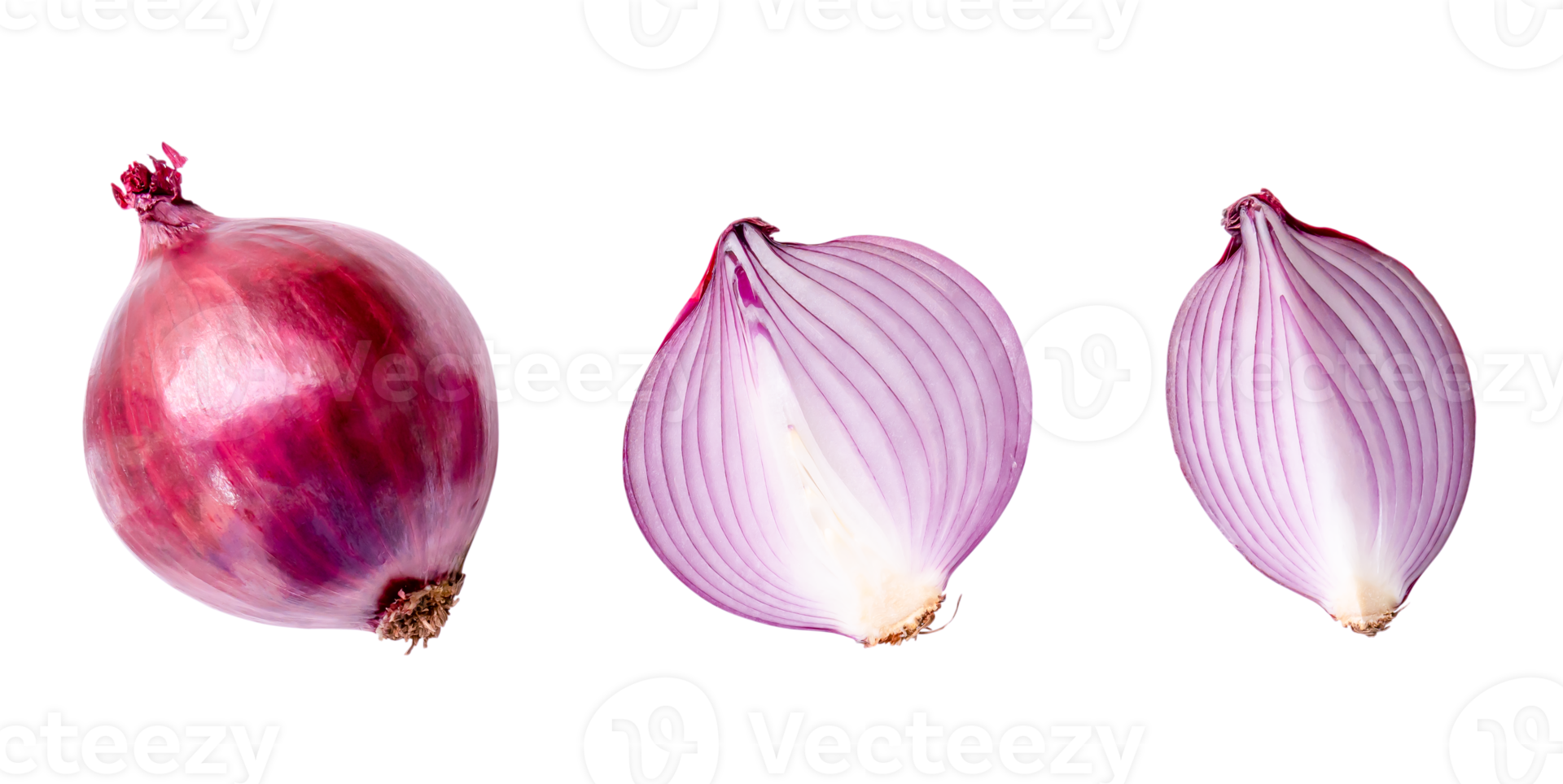 Top view of red or purple onion bulb with half and slice in set isolated with clipping path in png file format
