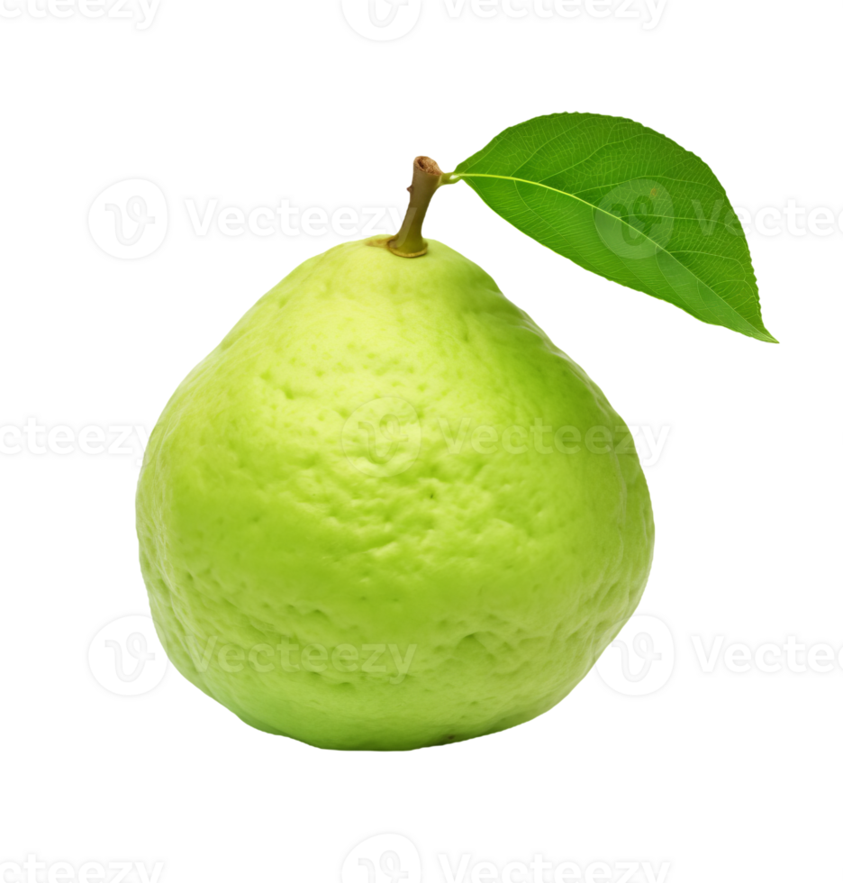 Fresh guava fruit with leaf isolated on transparent background png