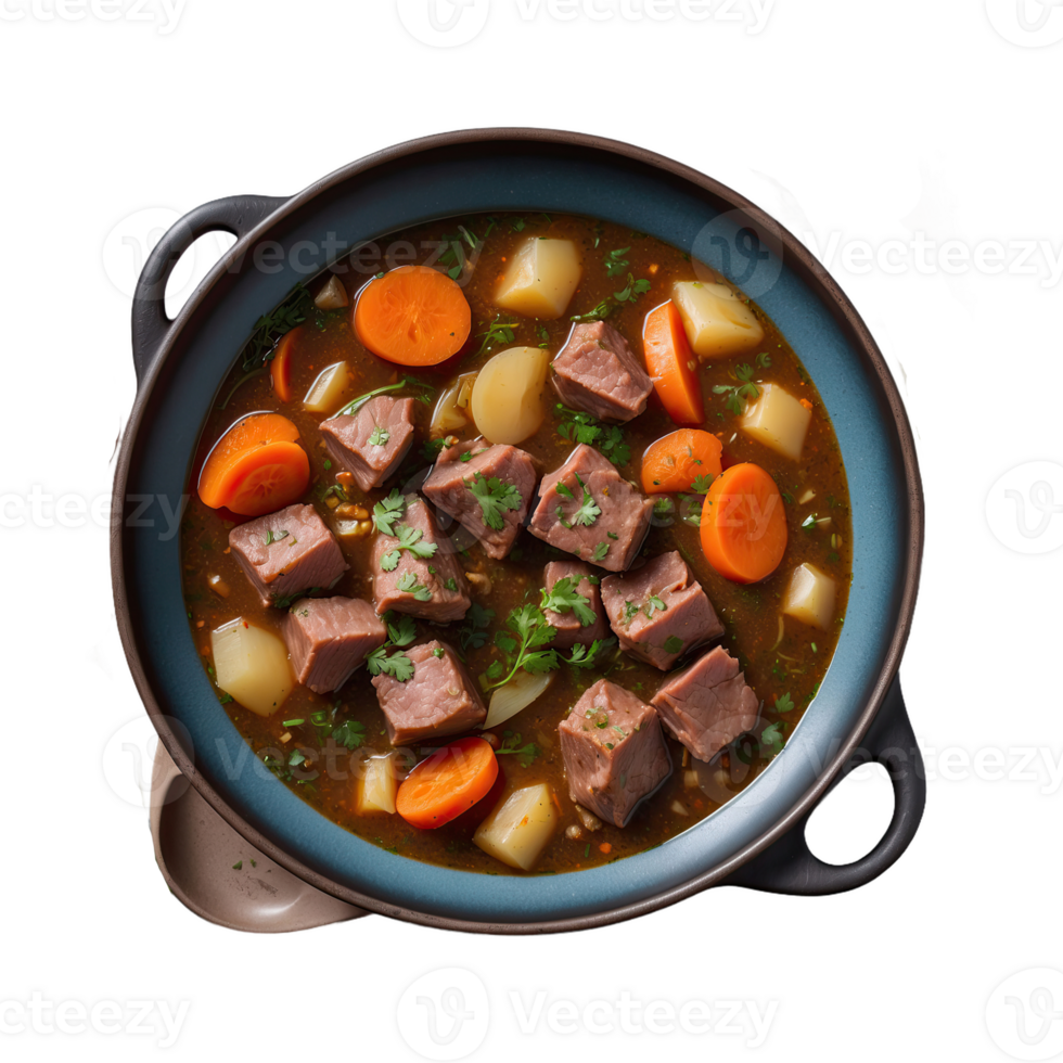 AI generated Meat stew, turshu, sebze govurma with onions, green herbs, carrots in broth sauce isolated on transparent background png