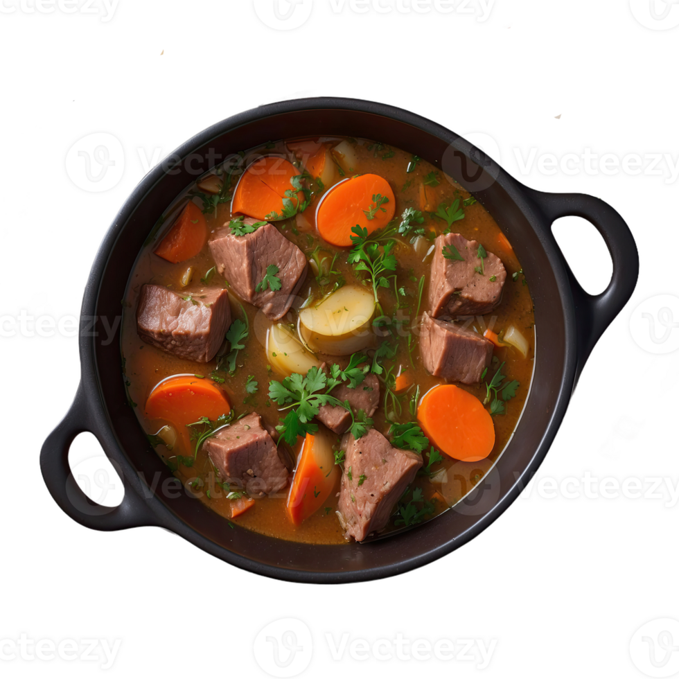 AI generated Meat stew, turshu, sebze govurma with onions, green herbs, carrots in broth sauce isolated on transparent background png