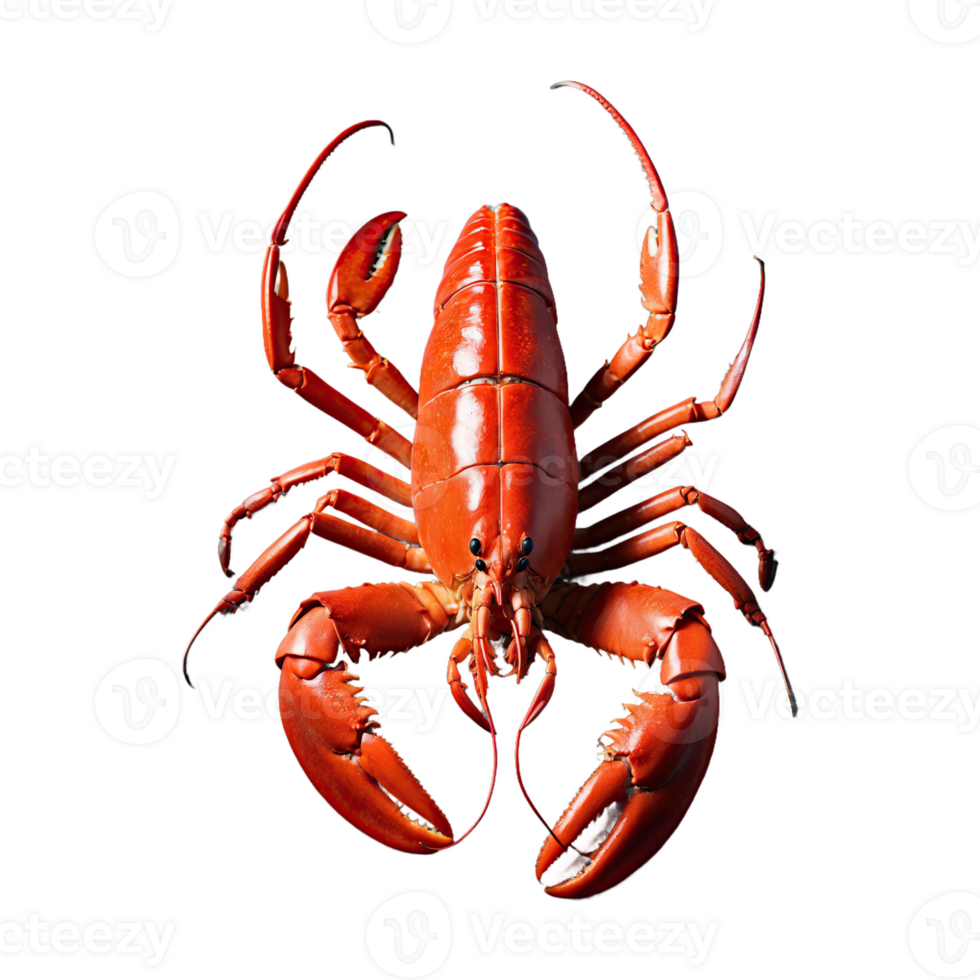 AI generated Cooked Lobster isolated on transparent background png