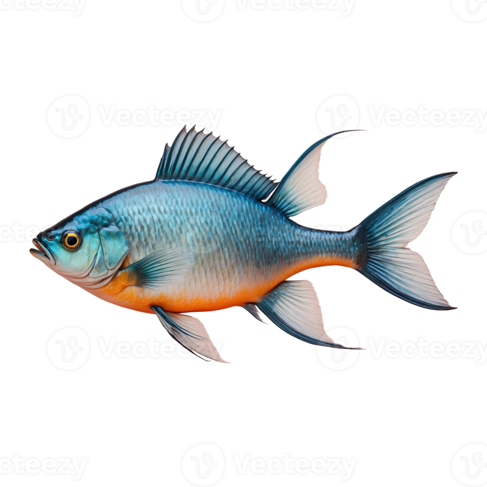 ai généré poisson isolé sur transparent Contexte png