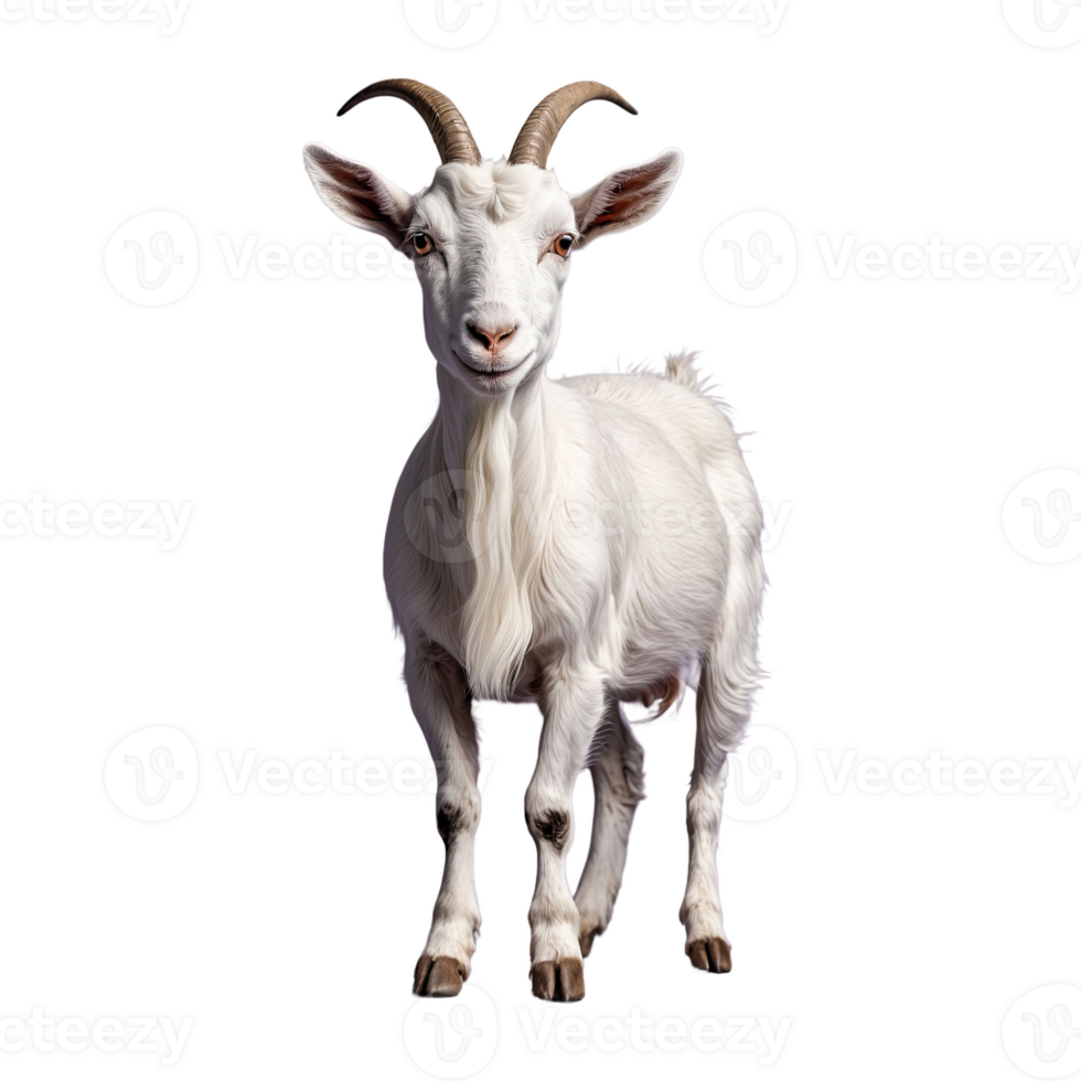 AI generated Goat isolated on transparent background png