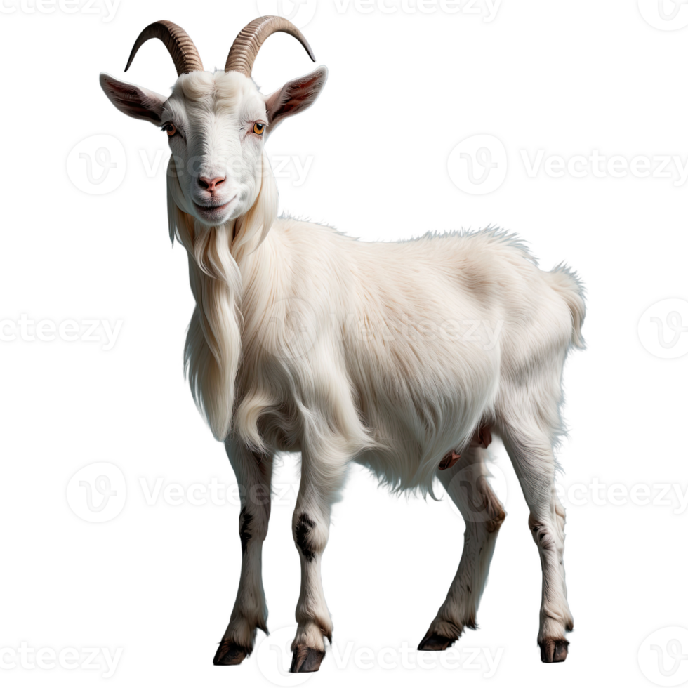 AI generated Goat isolated on transparent background png