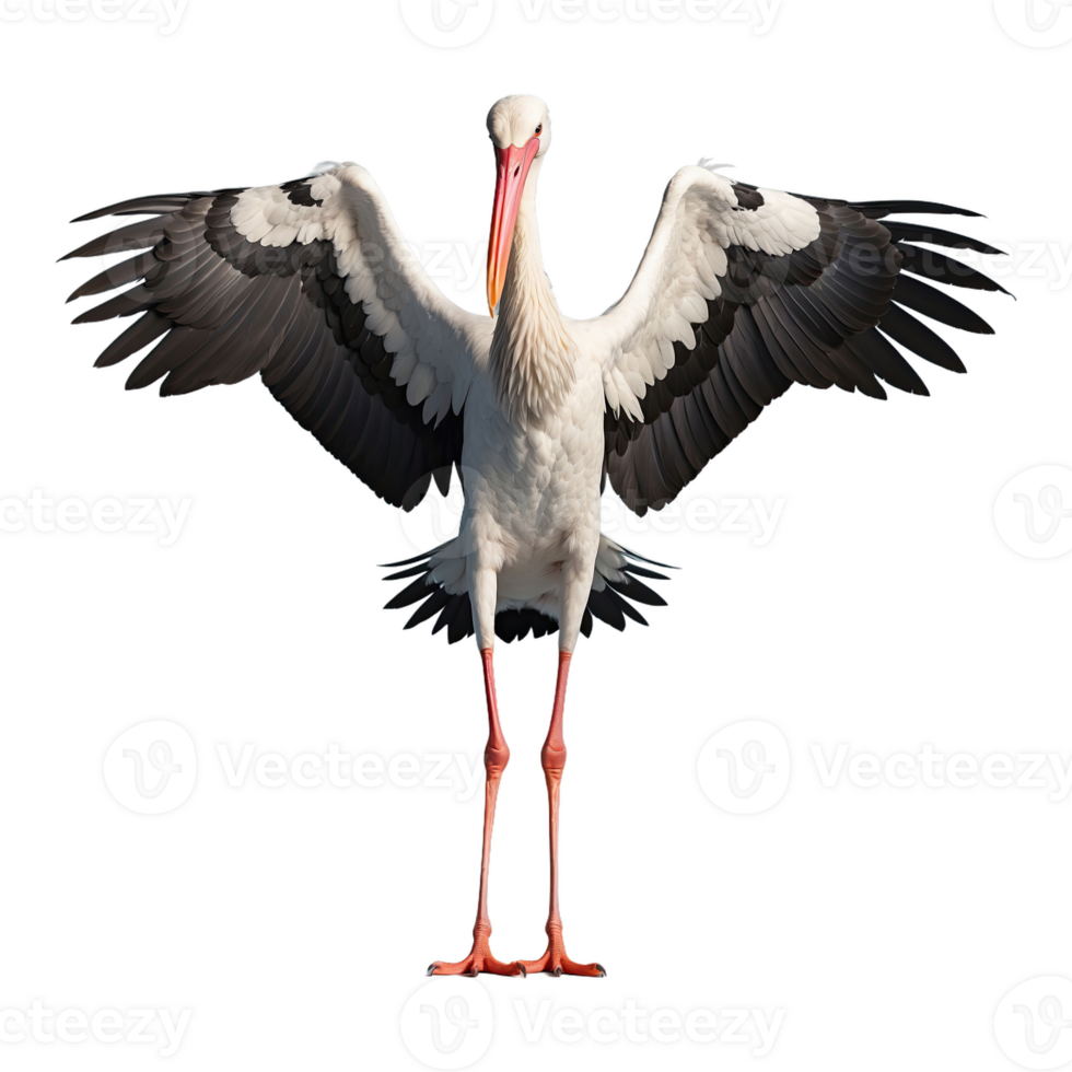 AI generated Stork bird isolated on transparent background png