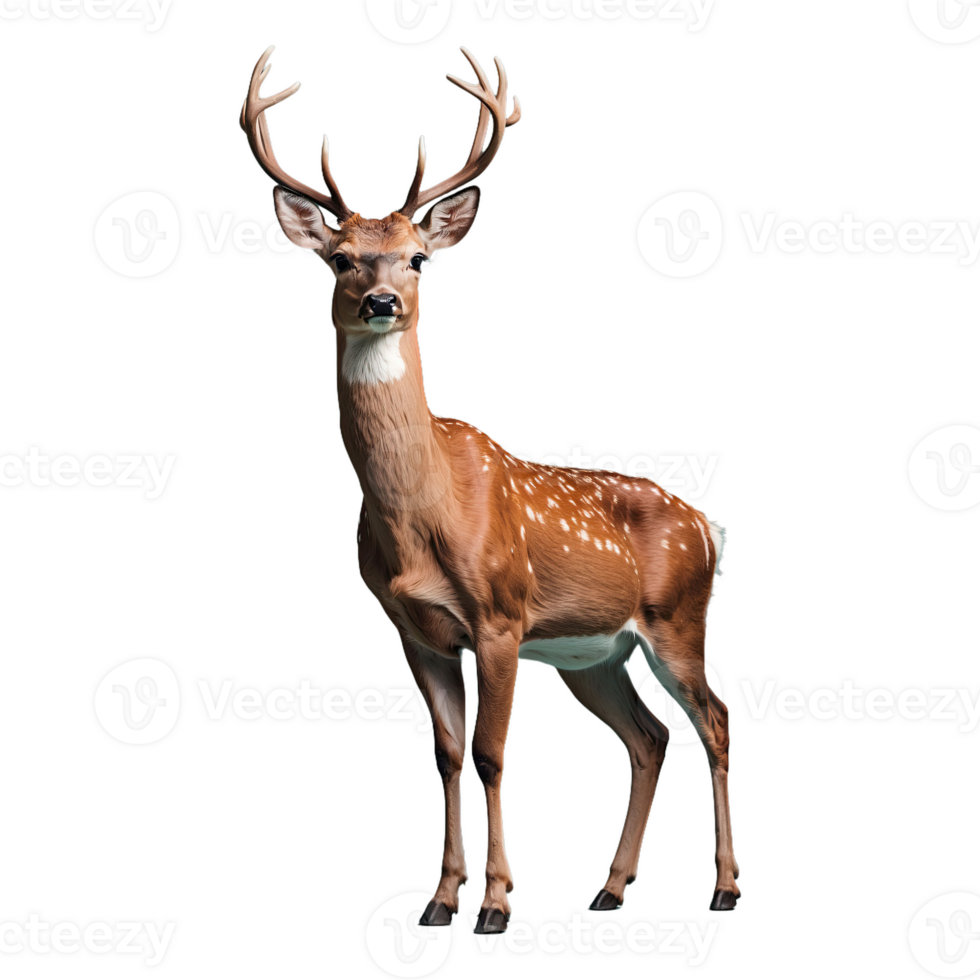 AI generated Deer isolated on transparent background png