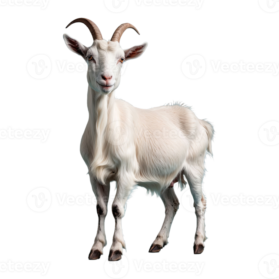 AI generated Goat isolated on transparent background png