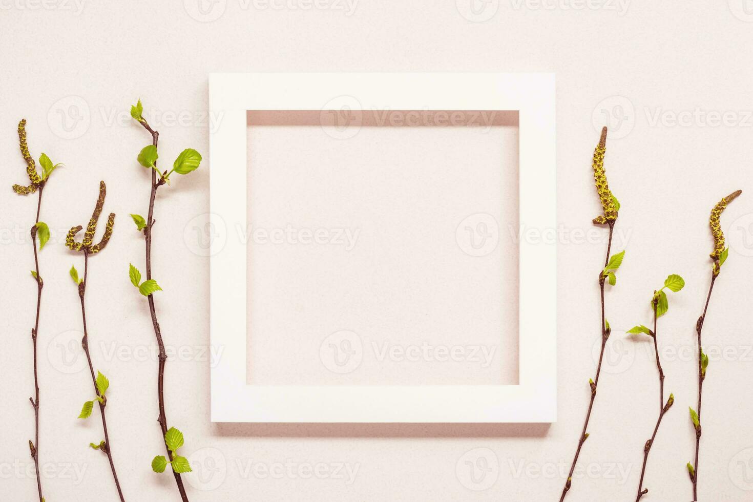 White Frame and young twigs with blooming leaves over pink pastel background. Spring natural creative concept photo