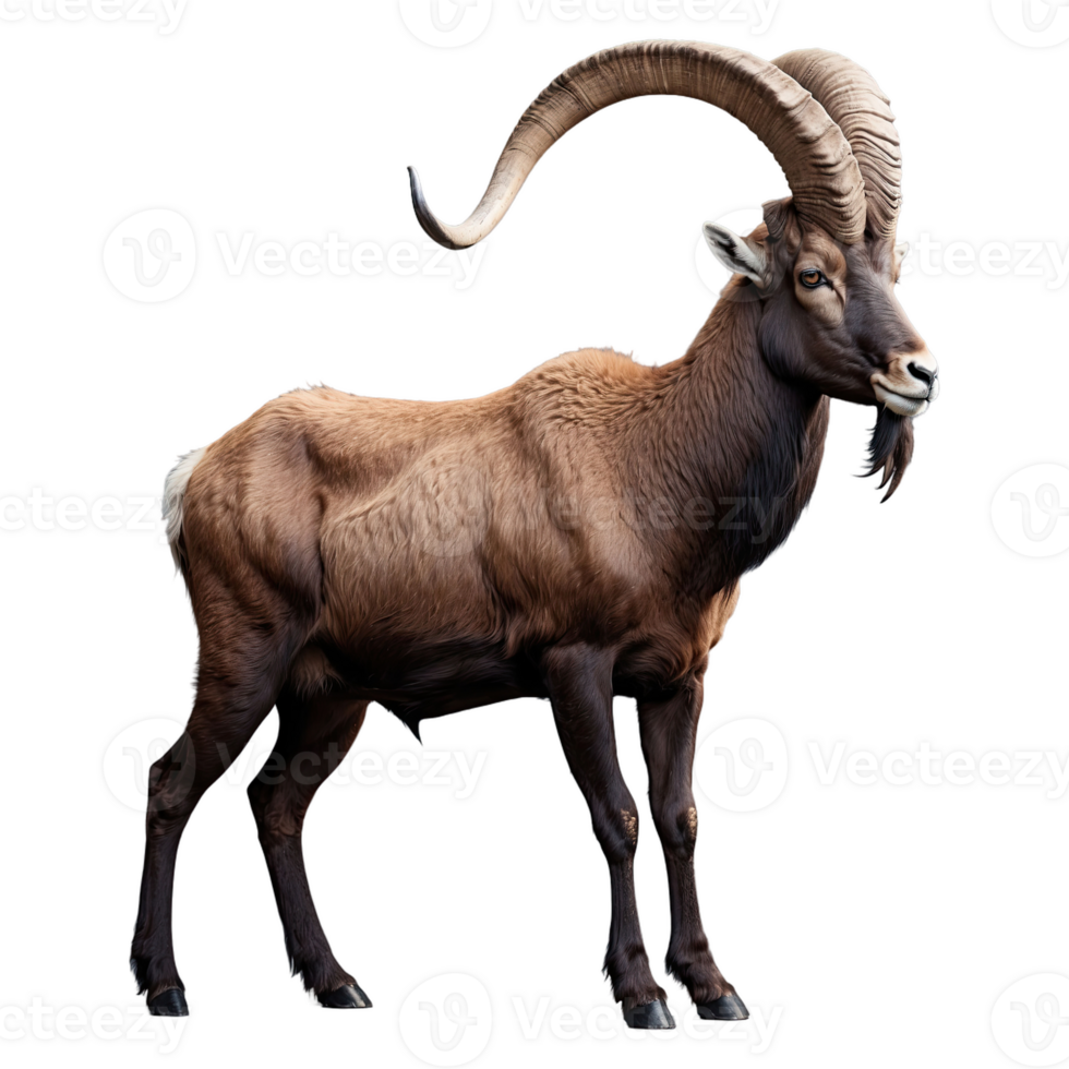 AI generated Ibex isolated on transparent background png