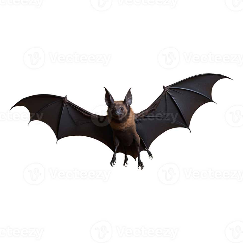 AI generated Bat Flying isolated on transparent background png