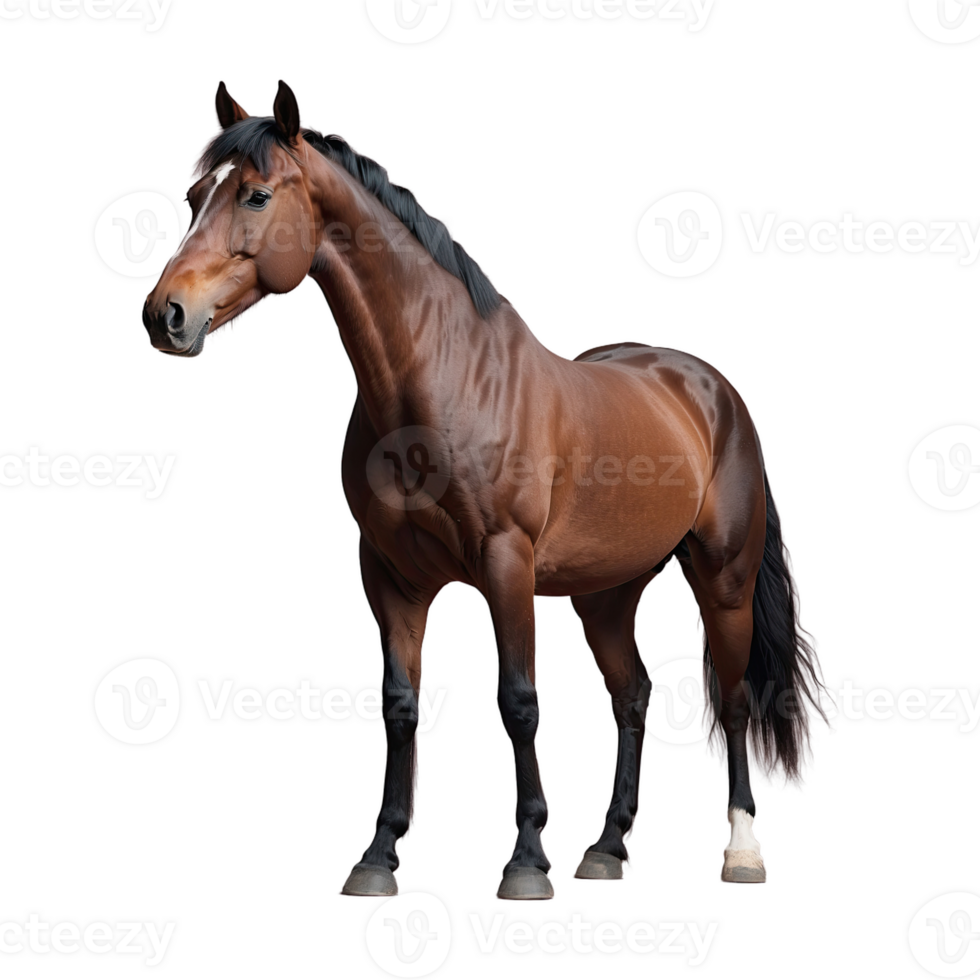 AI generated Horse isolated on transparent background png