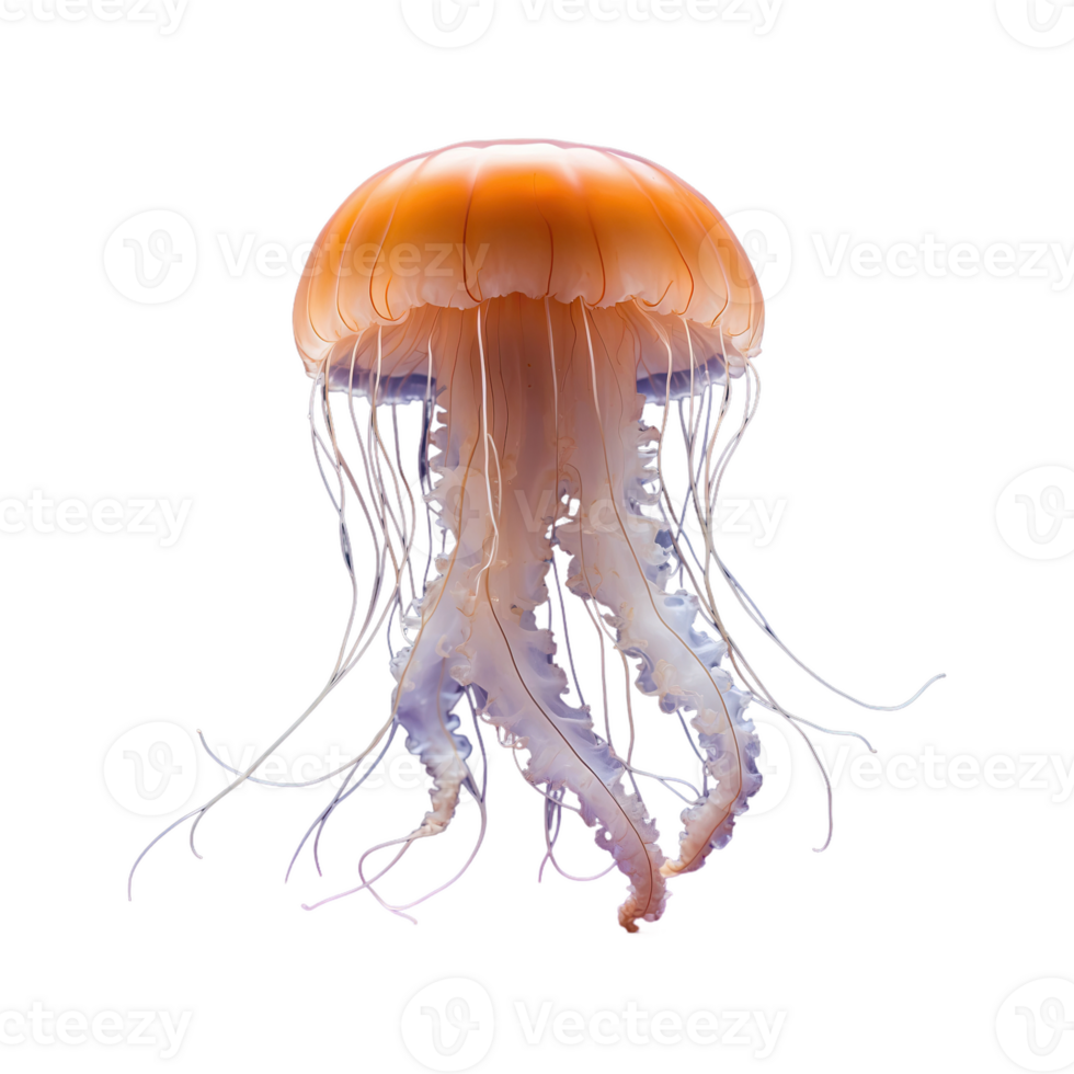 AI generated Jellyfish isolated on transparent background png