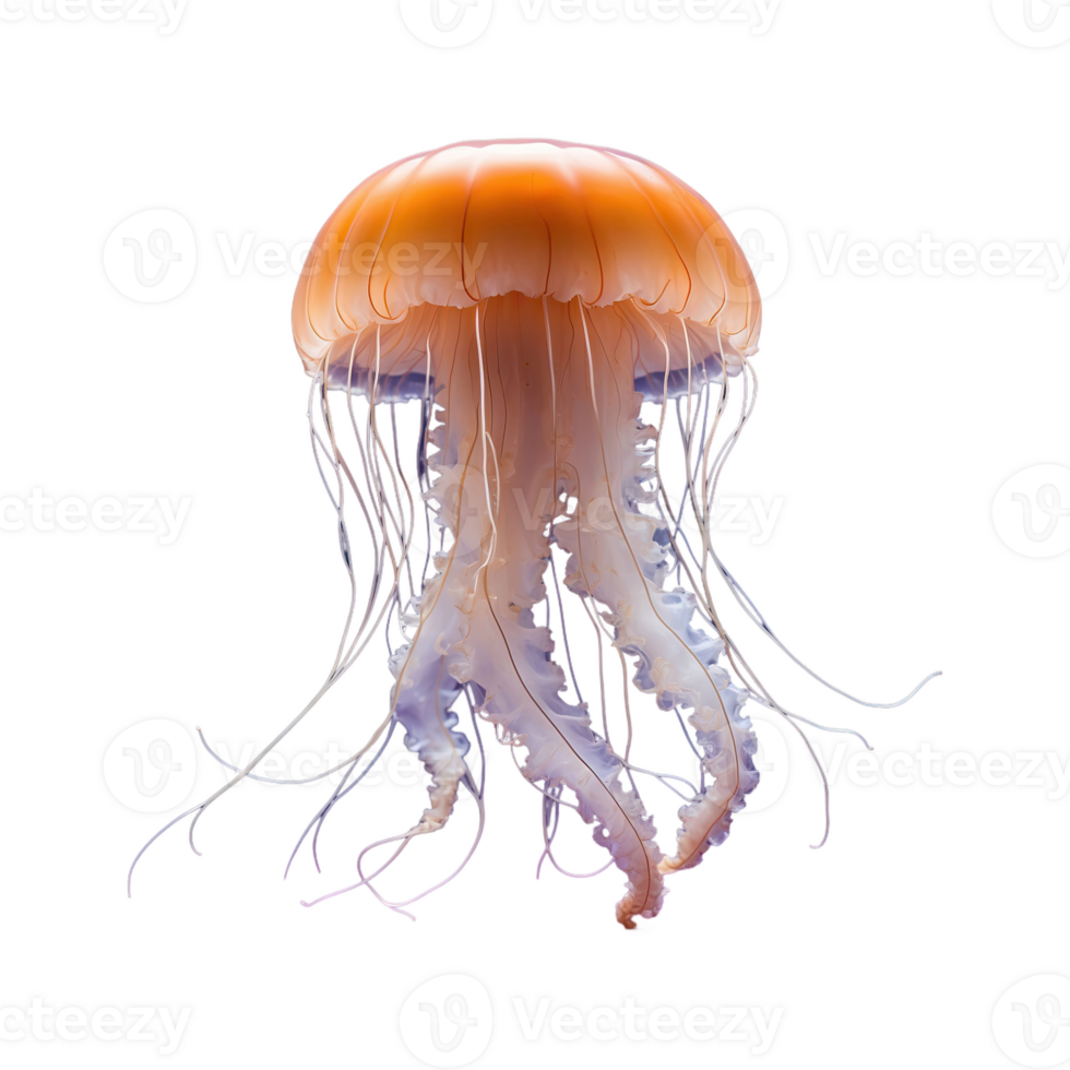 AI generated Jellyfish isolated on transparent background png