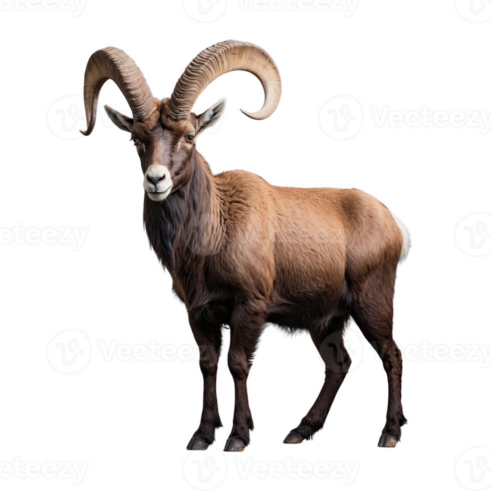 AI generated Ibex isolated on transparent background png