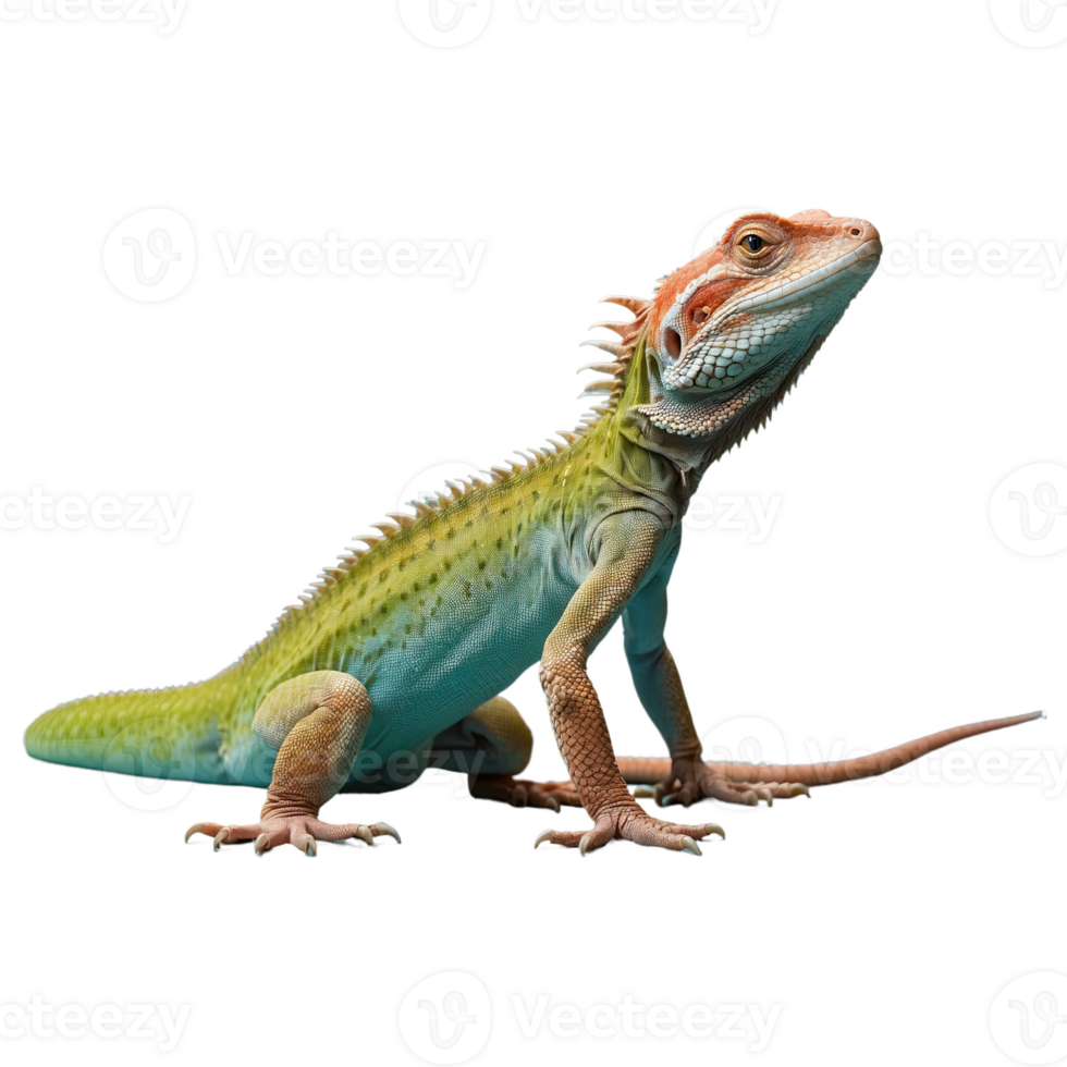 AI generated Lizard isolated on transparent background png