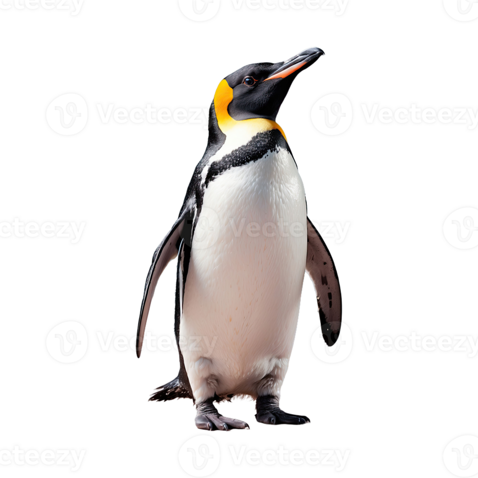 ai generiert Pinguin isoliert auf transparent Hintergrund png