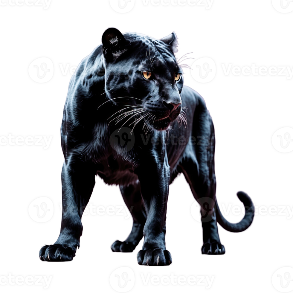 ai generiert Panther isoliert auf transparent Hintergrund png