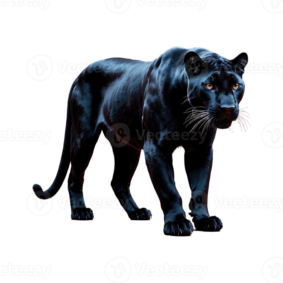 AI generated Panther isolated on transparent background png