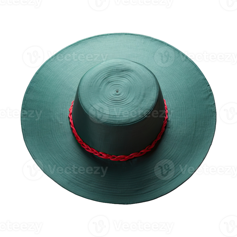 AI generated Round Chinese Hat isolated on transparent background png