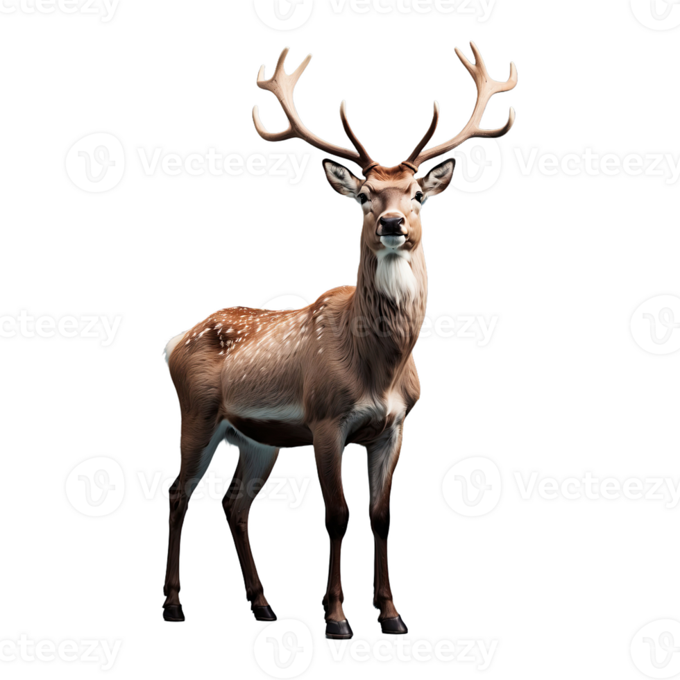AI generated Reindeer isolated on transparent background png