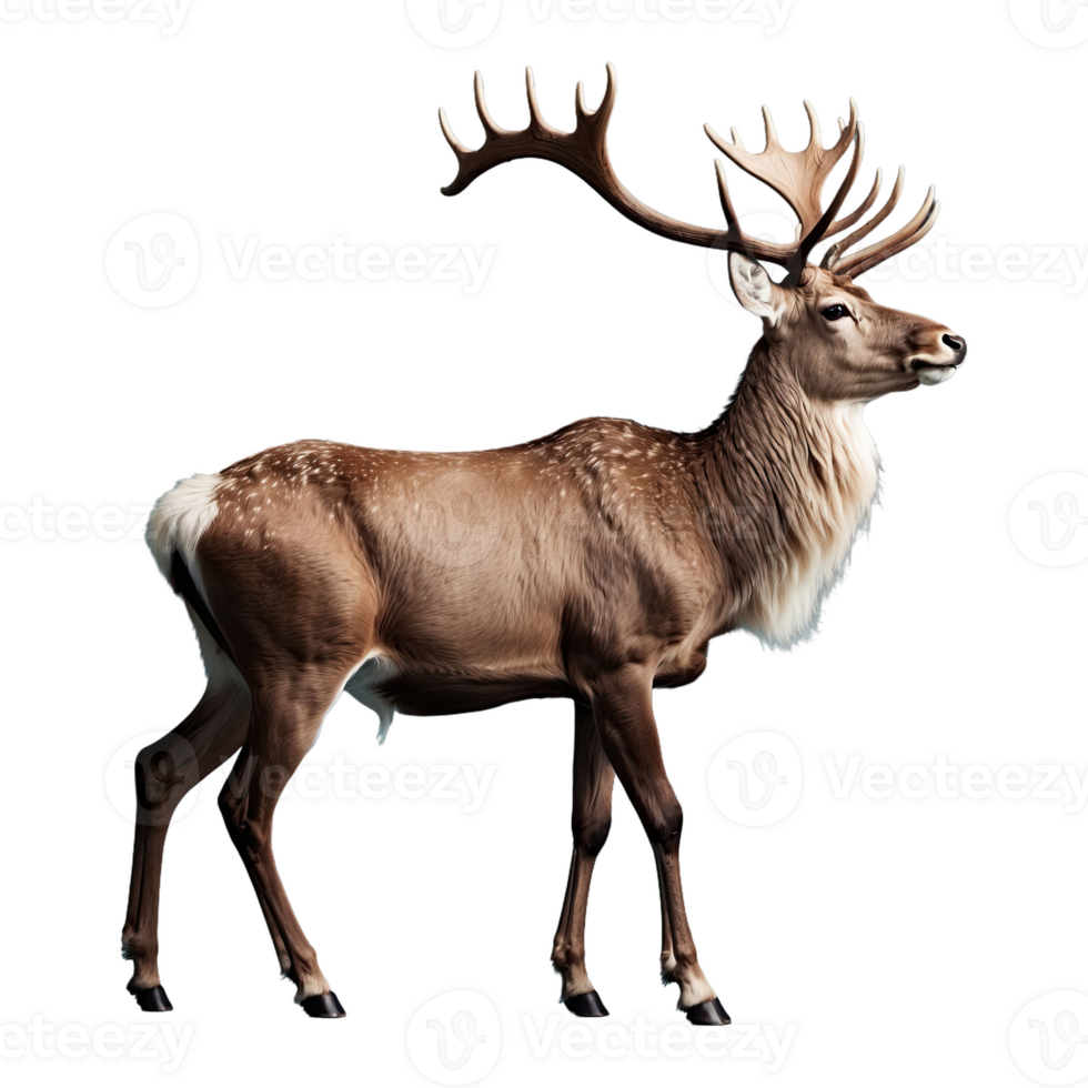 AI generated Reindeer isolated on transparent background png