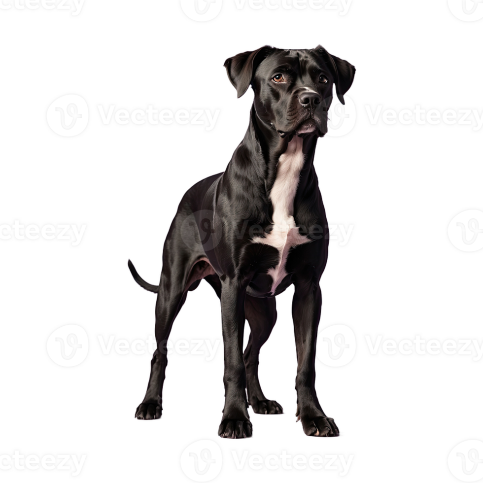 AI generated Dog isolated on transparent background png