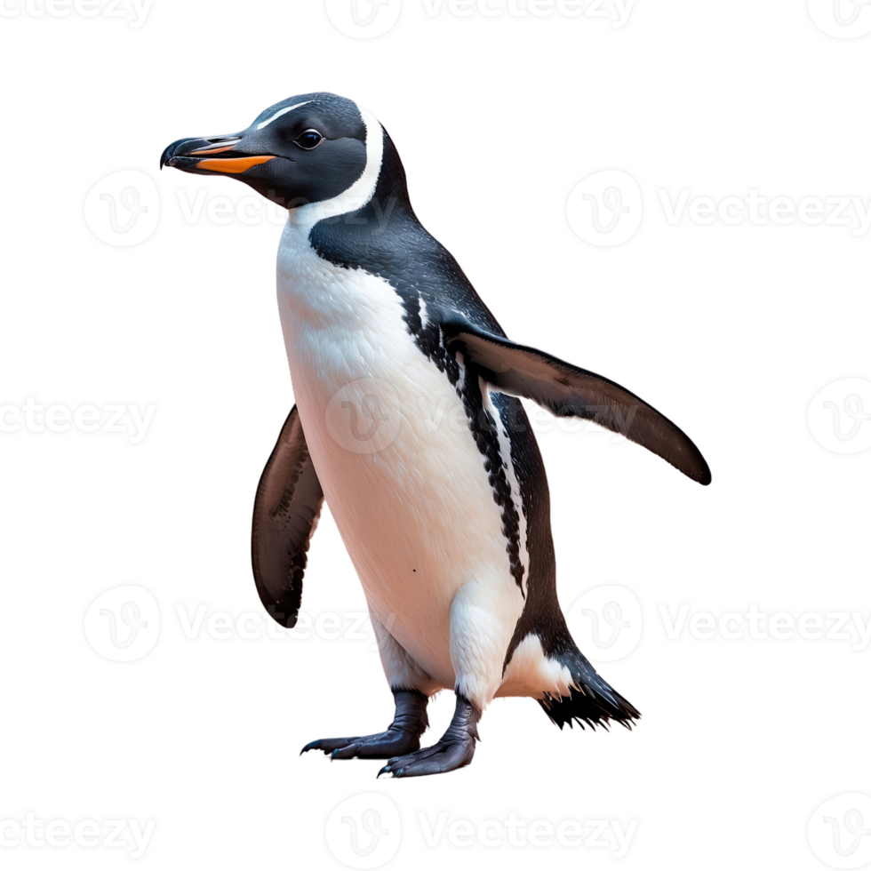 AI generated Penguin isolated on transparent background png