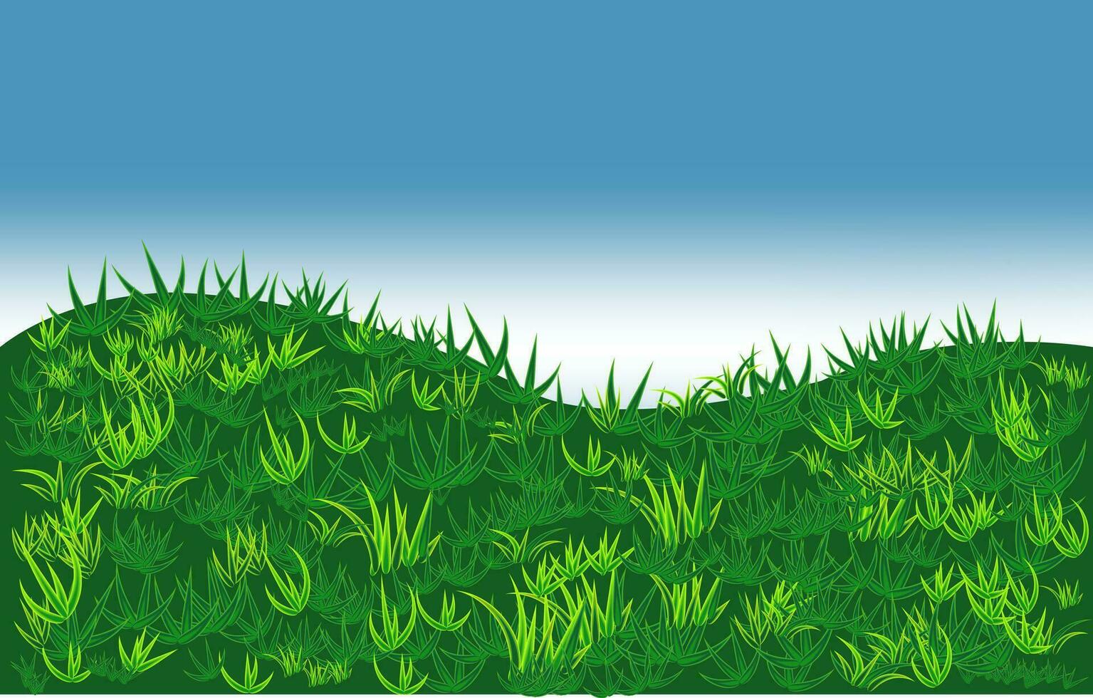 Grassy plain in the morning vector