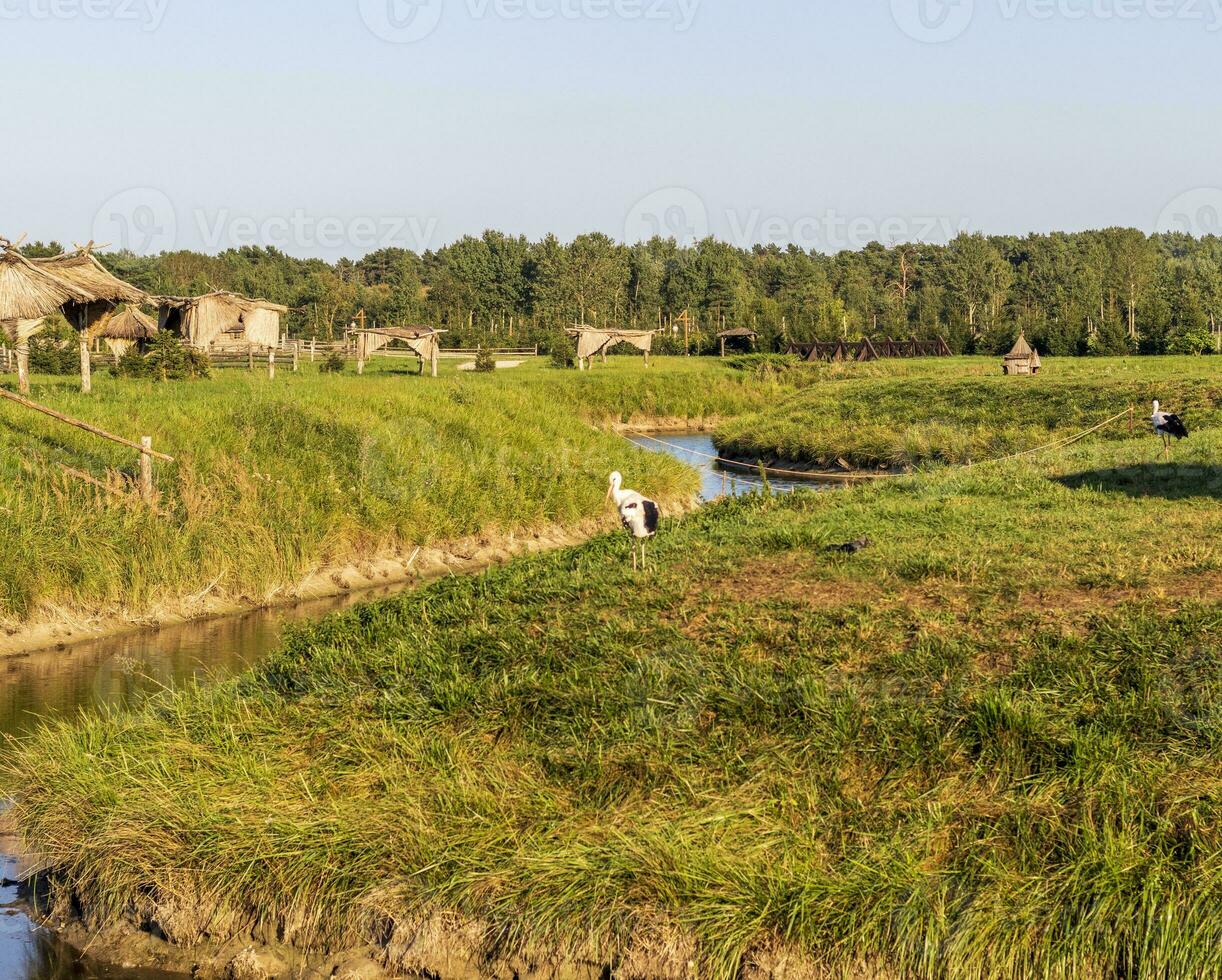 Shot of the street in the village. Rural photo