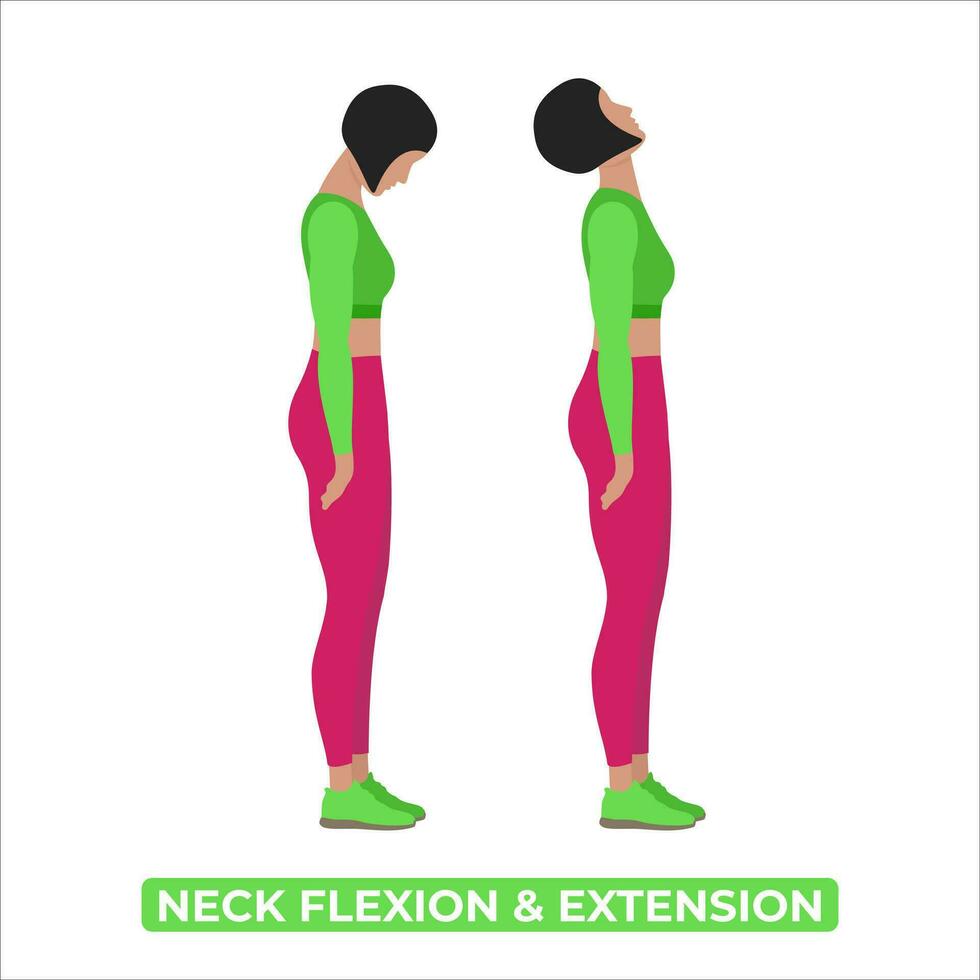 Vector Woman Neck Stretch. Forward and Back Bend. Flexion and Extension. An Educational Illustration On A White Background.