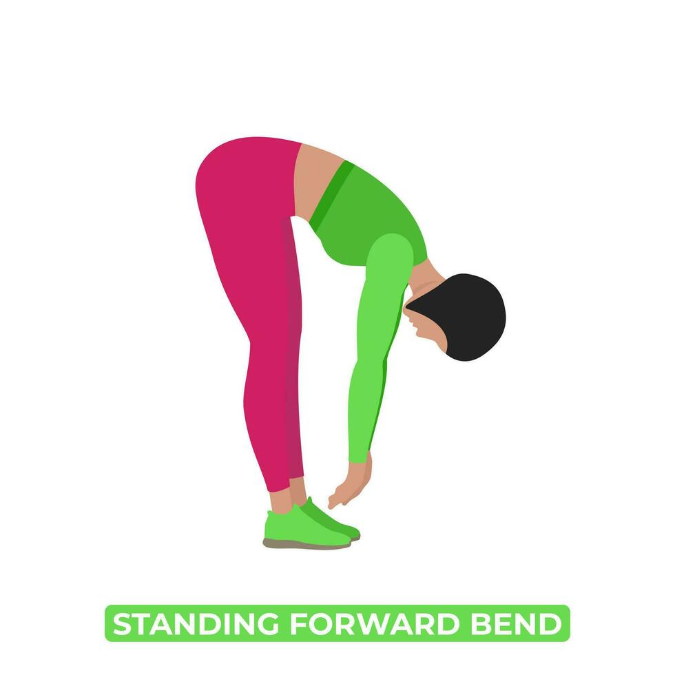 Vector Woman Doing Standing Forward Bend. Spinal Flexion Back Stretch. Standing Head to Knee Pose. Uttanasana. An Educational Illustration On A White Background.