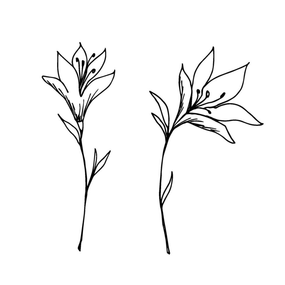 Handdrawn black outline vector drawing. Set of spring abstract flowers