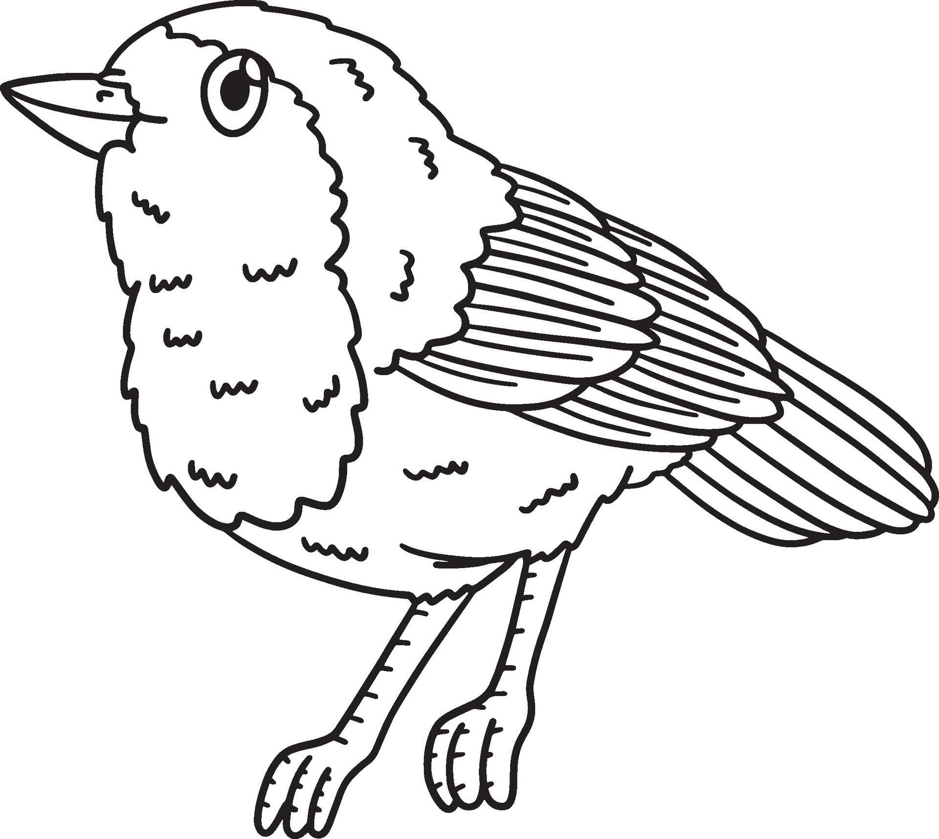 European Robin Bird Isolated Coloring Page 36402013 Vector Art at Vecteezy