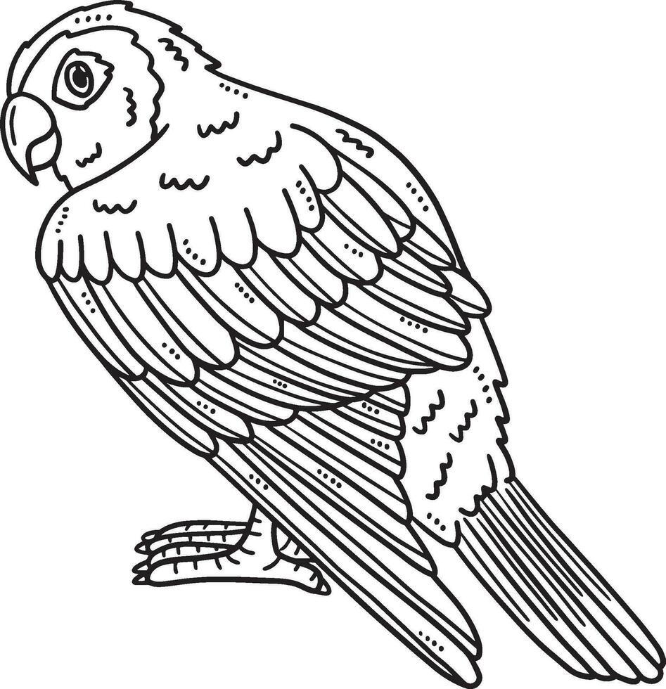 Conure Bird Isolated Coloring Page for Kids vector