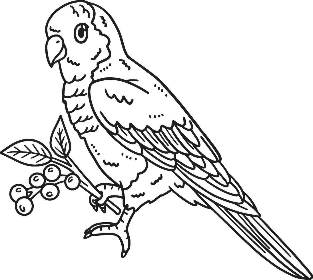 monje perico pájaro aislado colorante página para niños vector