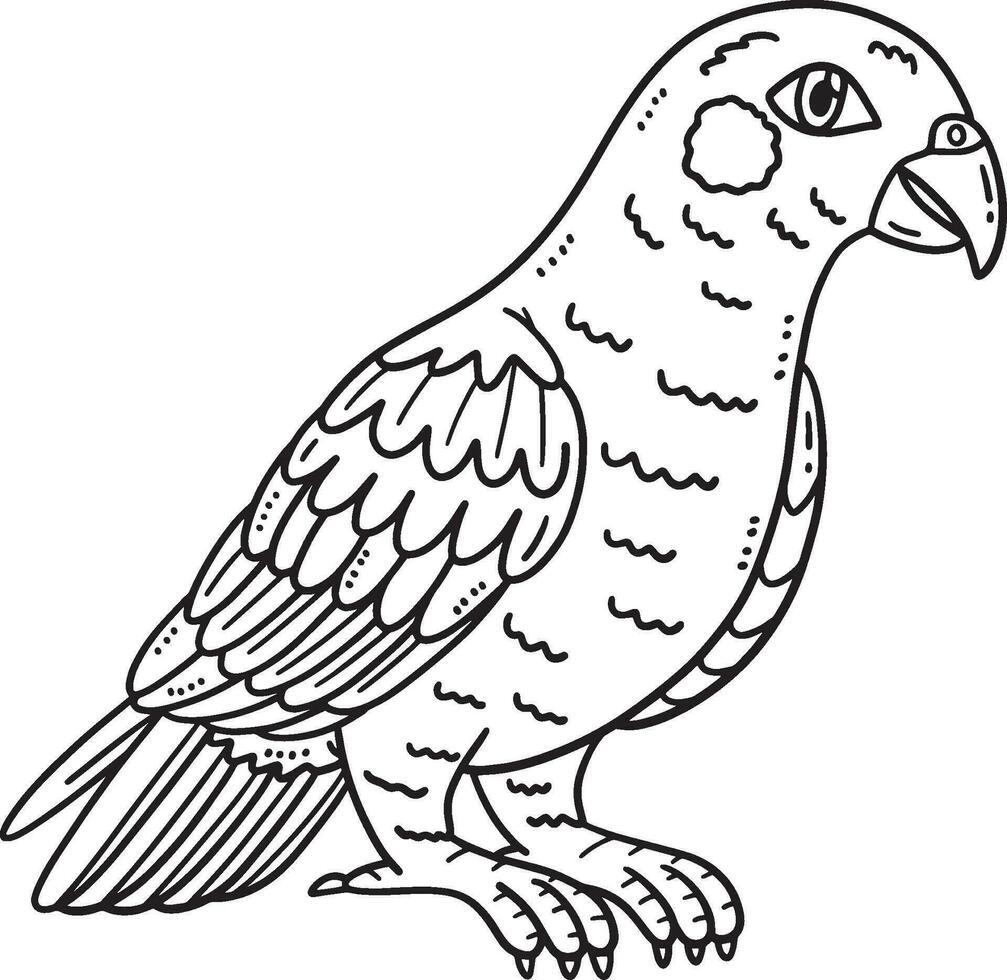 Pionus Parrot Bird Isolated Coloring Page for Kids vector