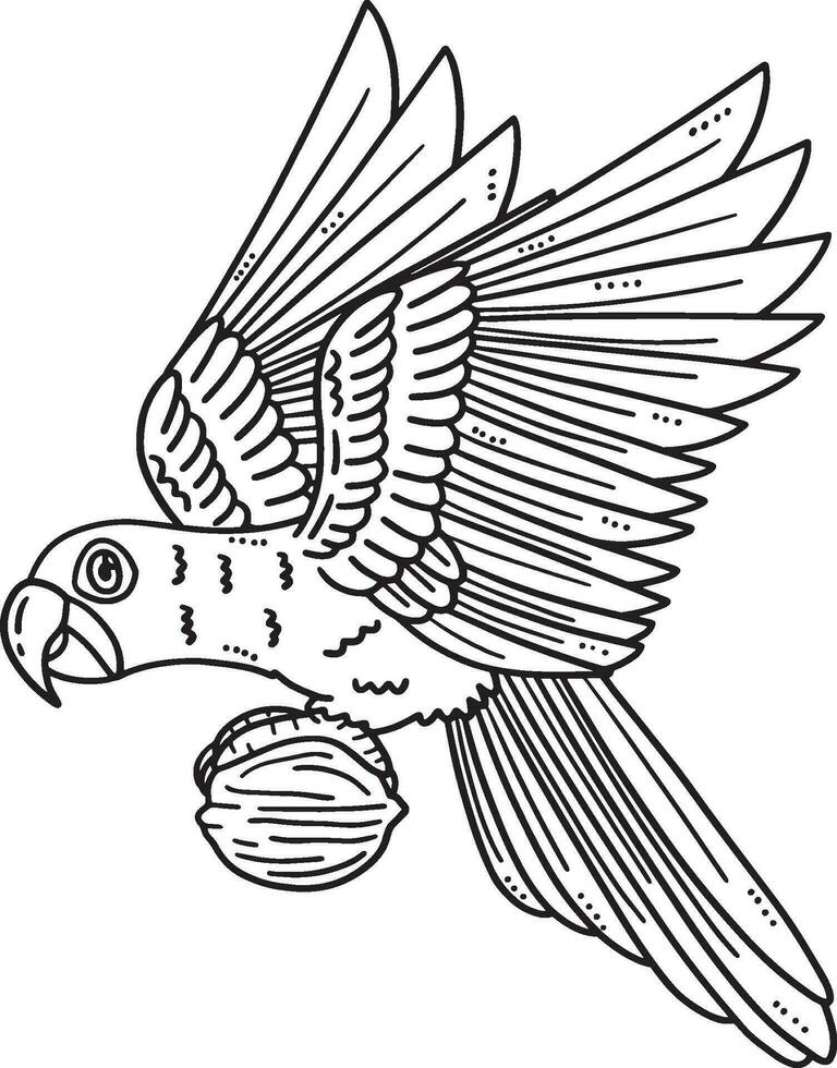 Hyacinth Macaw Bird Isolated Coloring Page vector