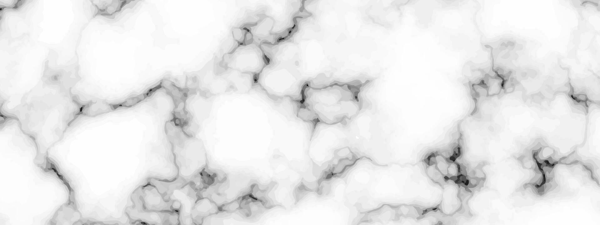 White marble texture background vector