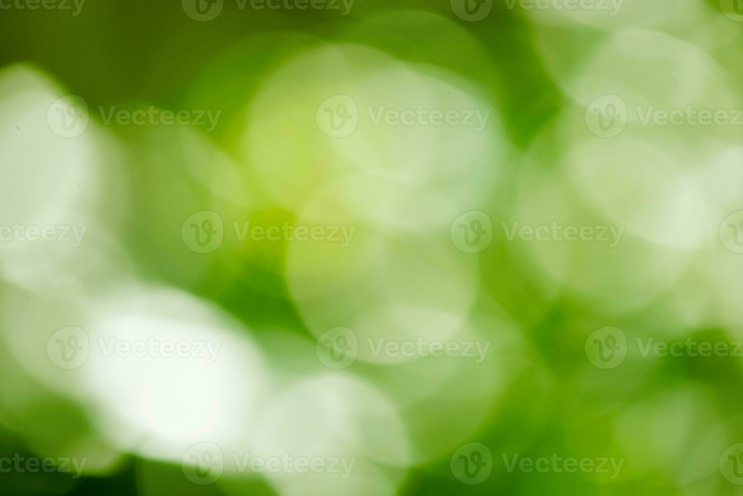 Green bokeh background. Green bokeh on nature defocus art abstract blur background. photo