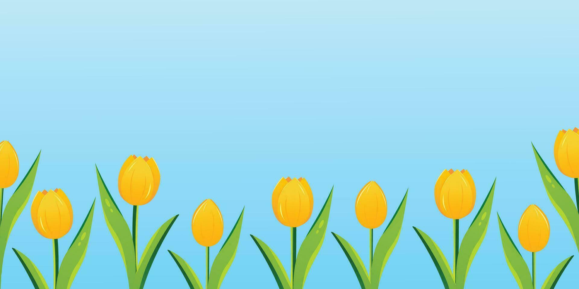 Spring season vector background yellow tulips, nature illustration