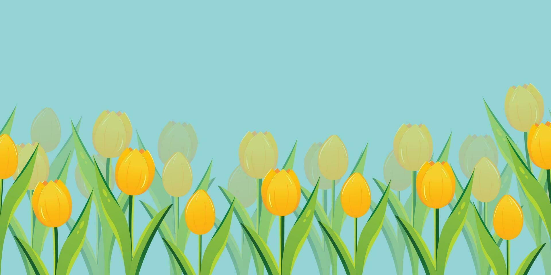 Spring season vector background yellow tulips, nature illustration