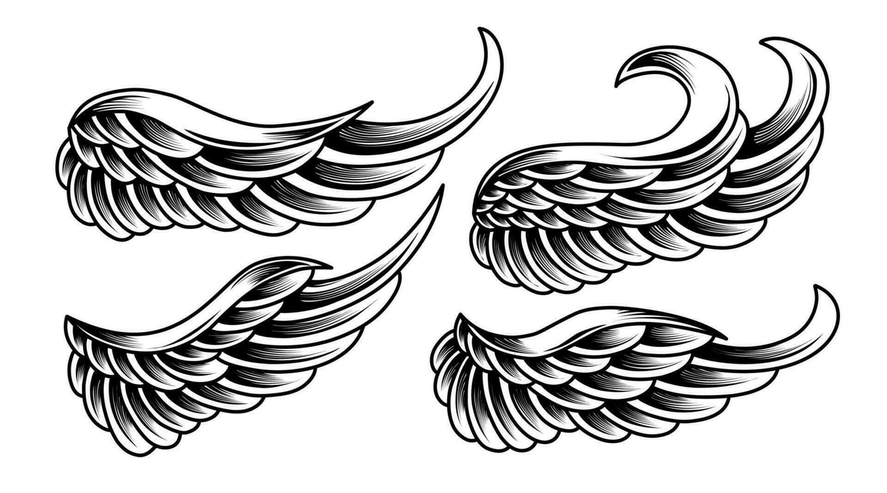 Vector bird wings set vintage illustration